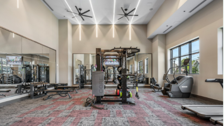 Alta French Hill, Gym
