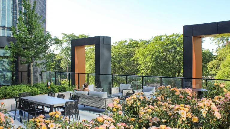 Solverre, Exterior Courtyard